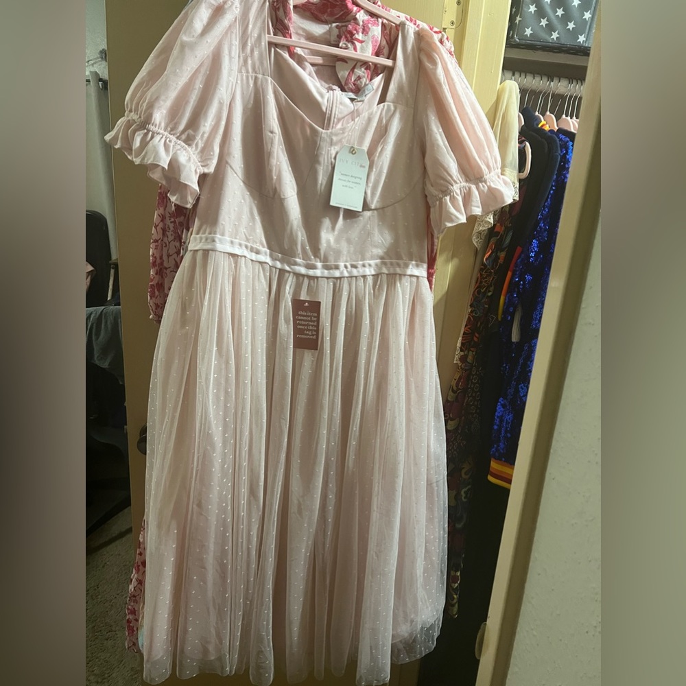 Ivy City Co Ballerina Dress in baby pink